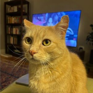 Meet your Posher, Heather